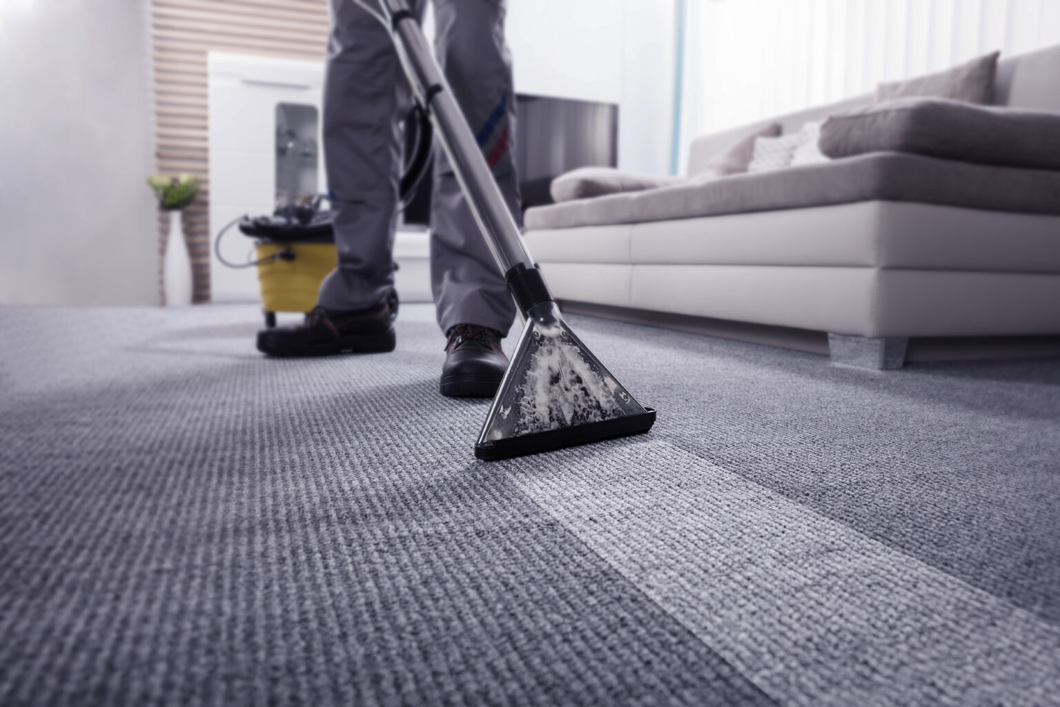 Carpet and Upholstery Cleaning